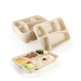 5 Compartment Plates ( Disposable )